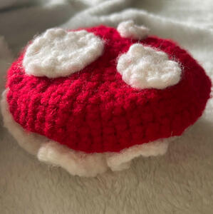 Mushroom Hat: $10
