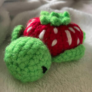 Strawberry Turtle: $7