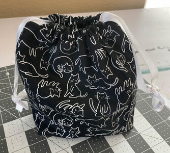 Cat Bag: $4